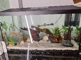 My first ever tank!