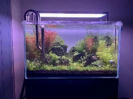 Aquascaper 600