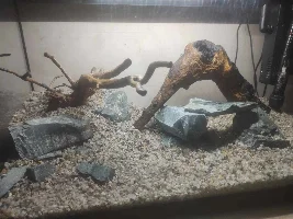My ~15 gallon fish tank project