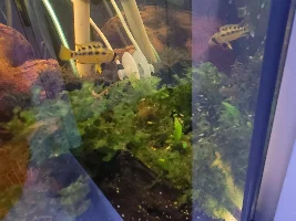 A few random pictures from the past week or so