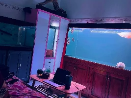 The New Technology Aquarium Tank 4.0 Sterilisation Virus 99%