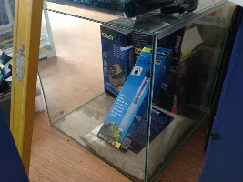Shrimp Tank