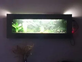Wall Aquarium Stocking Ideas?
