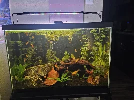 Hi new to forum.