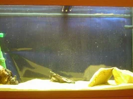 New 40 Gallon