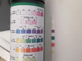 Methylene Blue vs Antibiotics Treatment