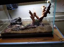 20G Ecosystem dirted offshoot from 40G thread