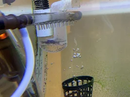 First attempt at DIY CO2