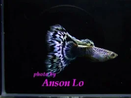 Photo to Share
