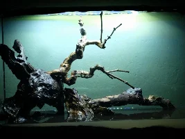 Finally tearing down ugly 57g, building new 36g to replace it!