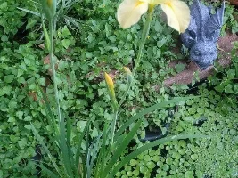 Spring has arrived!