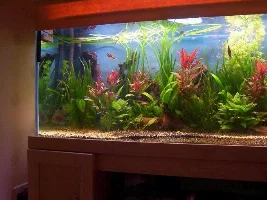 My Reef