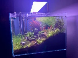 Aquascaper 600