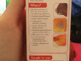 Candy has dropsy!!! Please for fast answer!