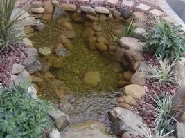 New Oscar Pond Diary!