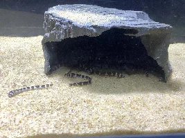 Should I move them back?!