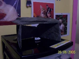 My DIY Slate cave, and new gourami