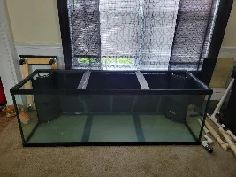 New tank setup