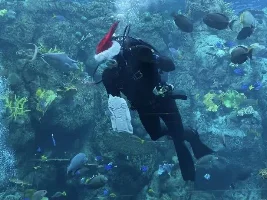 Some neat fish at my LFS