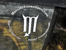 50g, 90g, and 30g tank and Equipment for sale