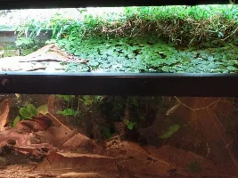 A few random pictures from the past week or so