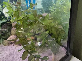 Please help identify these