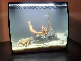 New Here, New to the hobby.