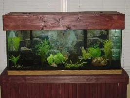 75 Gallon