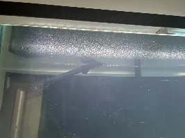 Any solution for this problem ?
