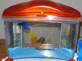 How many gallons is in this tank?