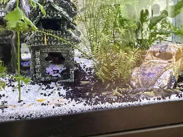 Bubble clump on glass