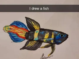 Juice’s Fish art
