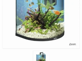 Which nano tank should I get