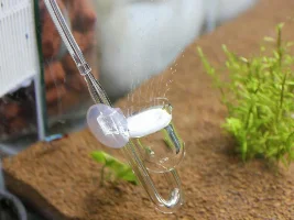 My New Aquarium