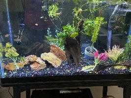 Show me your Fish!