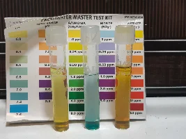 Frustrated with cyanobacteria