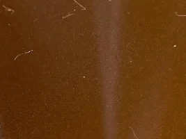 Worm looking things in water when completing  water change