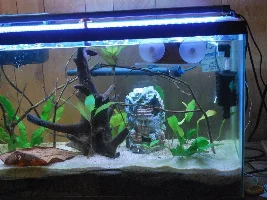 Show me your fishroom