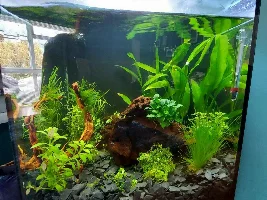 Any ‘Aquamanta Nano 35’ owners out there?