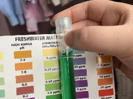 Help! - emergency water change during cycle!
