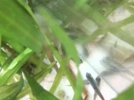 A different perspective