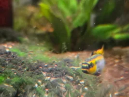 A few random pictures from the past week or so