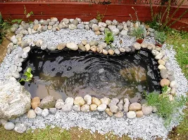 New Pond