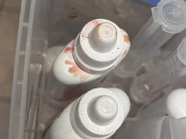 Lost 5 guppies in brand new tank - what to do next