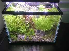 Tips on new 4 gallon