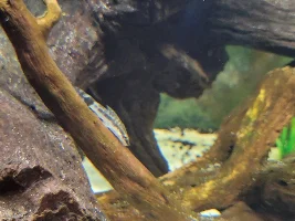 Hello all!