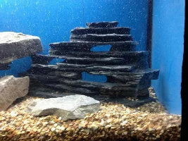 What Is This Rock And Is It Safe For My Tank?