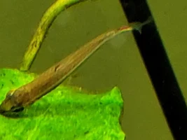 A few random pictures from the past week or so