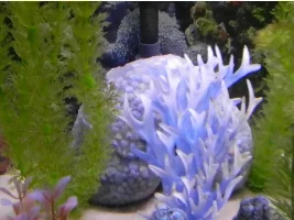 Help Advice - Swapping Substrate Ugf To Sand
