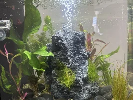 Any guidance welcome